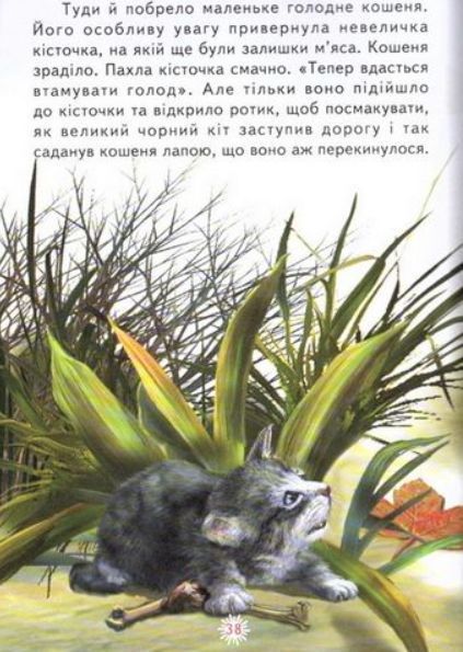 Книга "Пушистое счастье" &ndash; Мацко И., Сухомлинский В., Бондаренко О. (Твердый переплет, на украинском языке) BEL0049 фото