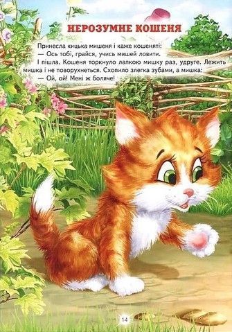 Книга "Улюблені українські казки" - Ірина Біляева (Тверда обкладинка, українською мовою) BEL0001 фото