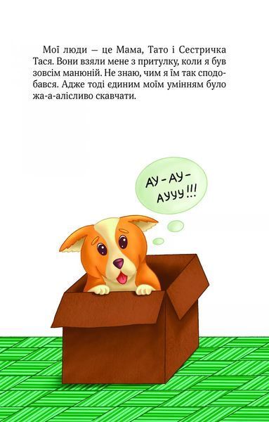 Книга "Клубочок мчить на допомогу. Неймовірні пригоди чистунів" - Пилипенко О. (Тверда обкладинка, українською мовою) 2842963965 фото