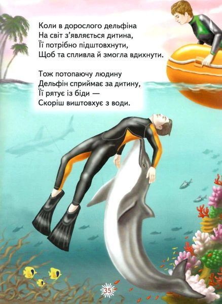 Книга "Любопытное о животных" - Фролова Е. (Твердый переплет, на украинском языке) BEL0055 фото