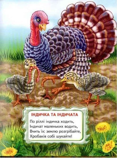 Книга "Віршики-цікавинки" - Гуріна В. (Тверда обкладинка, українською мовою) BEL0072 фото