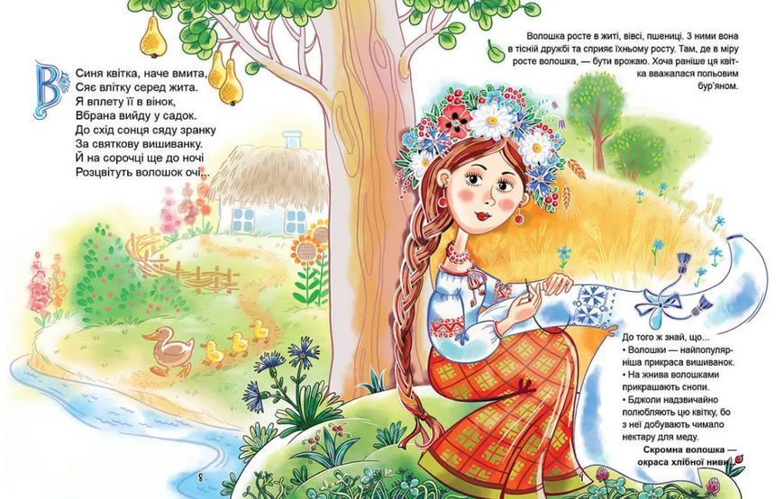Книга "Українська абетка" - Яковенко Л. (Тверда обкладинка, українською мовою) TALA0030 фото