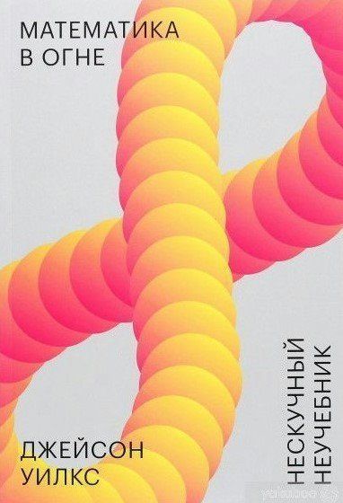 Книга "Математика в огне. Нескучный неучебник" - Уилкс Дж. (Твердый переплет) DGN09753 фото