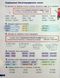 Большая тетрадь по украинскому языку. 4 класс. Справочник-практикум. НУШ - Ищенко О. LITER0019 фото 4