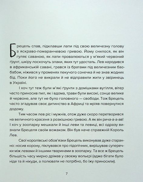 Книга "Єнот Ракета та інші герої" - Завалий Є. (Тверда обкладинка, українською мовою) VSL00002 фото